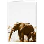 Elefant u. Baby-Elefant Grußkarten