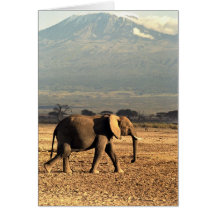Elefant vor Kilimanjaro Karte