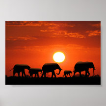 Elefantfamilie Plakatdruck