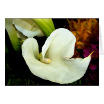Elegante Calla-Lilie Karten