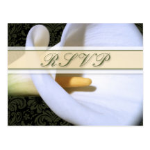 Elegante Calla-Lilie UAWG Postkarte