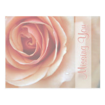 Elegante Pfirsich-Rose vermisst Sie Postkarten