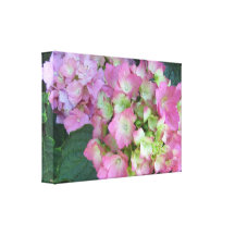 Elegante rosa Hydrangeas Leinwanddrucke