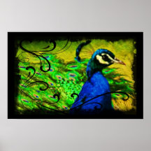 Eleganter Pfau-Strudel-künstlerisches Kunst-Plakat