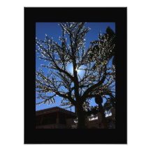 Elektrischer Baum Kunstfoto