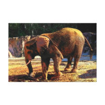 Elephant 1Design Canvas Print