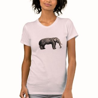 Elephant Vintage Illustration India Animal Antique Shirts