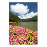 Natur Poster