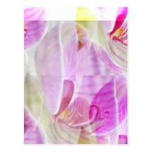 Empfindliche und schöne Orchidee mit Blumen Postkarte