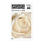 Empfindliche weiße Rose, Gewebeeffekt/Größe S/M/L Briefmarke