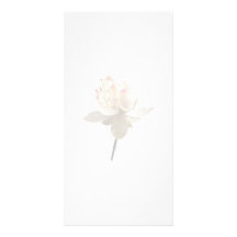 Empfindliches rosa Lotus Bilder Karten