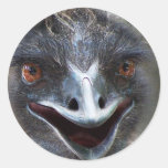Emu-Sprichwort HI! Öffnen Sie großes braunes Augen Runder Aufkleber