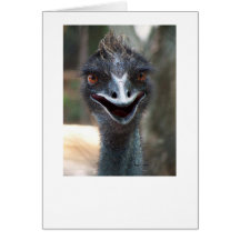 Emu-Sprichwort HI! Öffnen Sie großes braunes Augen Karte