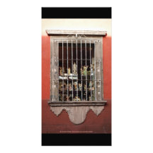 Engels-Fenster San Miguel de Allende Mexiko Foto Karten