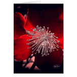 Engels-Finger-rote Blumen-Gruß-Karte