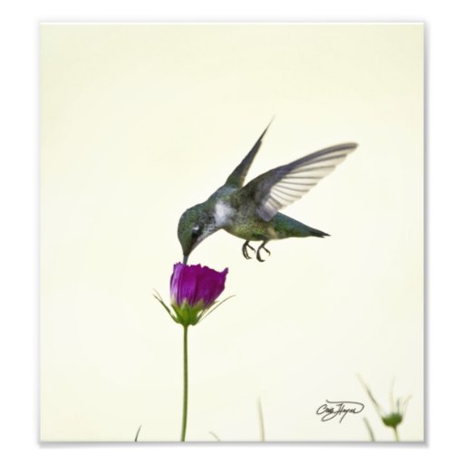 Engels-im Flug photographische Kunst