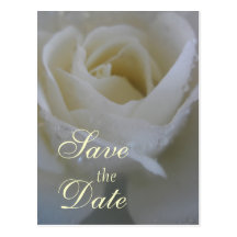 Engels-Rosen-Hochzeit Postkarten