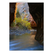 Engen in Zion Nationalpark Grußkarten