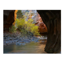 Engen in Zion Nationalpark Postkarte