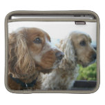 Englisch-Cocker spaniel iPad Hülse iPad Sleeves