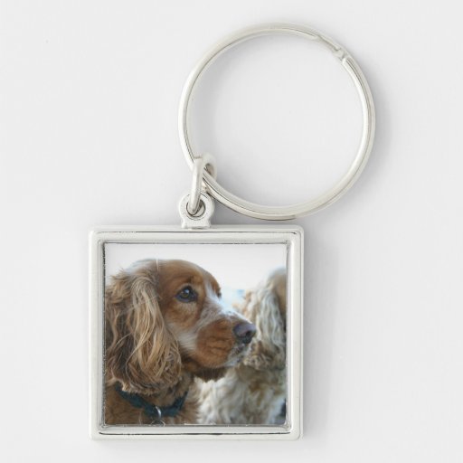Englisch Cocker spaniel Keychain Schlüsselanhänger