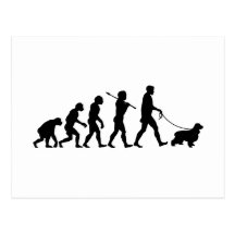Englisch Cocker spaniel Postkarte