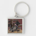 Englisch Cocker spaniel Schlüsselband