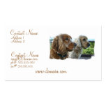 Englisch-Cocker spaniel-Visitenkarte