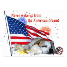 Englische Bulldogge - amerikanischer Traum Postkarten