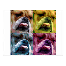 Englische Bulldogge Postkarten