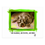 Englische Bulldogge Postkarten