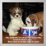 Englische Bulldogge und Welpen-Plakat Shih Tzu