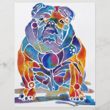 Englische Bulldogge Vollfarbige Flyer