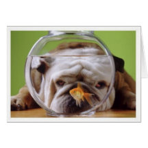 Englische Bulldoggen-Karte