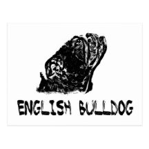 Englische Bulldoggenpostkarte