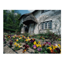 Englische Hütte, Stiefmütterchen Postkarten