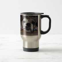 Englischer Bulldoggen-Welpe Kaffeetasse