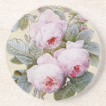 Englischer Rosen-Garten-Bourbon-rosa Blumen Bierdeckel