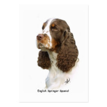 Englischer SpringerSpaniel 8M15D-05 Visitenkarten