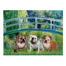 Englisches Bulldoggen-Trio - Brücke Postkarte