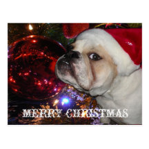 Englisches Bulldoggen-Weihnachten Postkarte