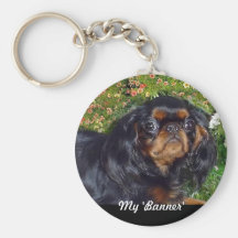 Englisches SpielzeugSpaniel Schlüsselband
