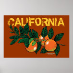 Enormes Plakat Kaliforniens "Califoranges"