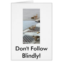Ente, folgen nicht blind! karten
