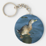 Ente Schlüsselband