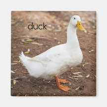 Enten-Kühlschrank-Magnet Kühlschrankmagnet