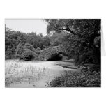 Entengrütze - Central Park Grußkarte