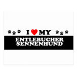 ENTLEBUCHER SENNEHUND_ POSTKARTE