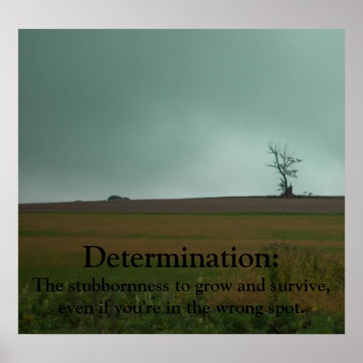 Entschlossenheit Demotivational Plakat