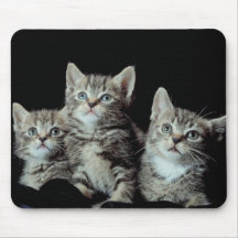 Entzückende Kätzchen Mousepads